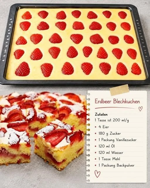 Saftiger Erdbeer-Blechkuchen auf einem Blech serviert, dekoriert mit frischen Erdbeeren.