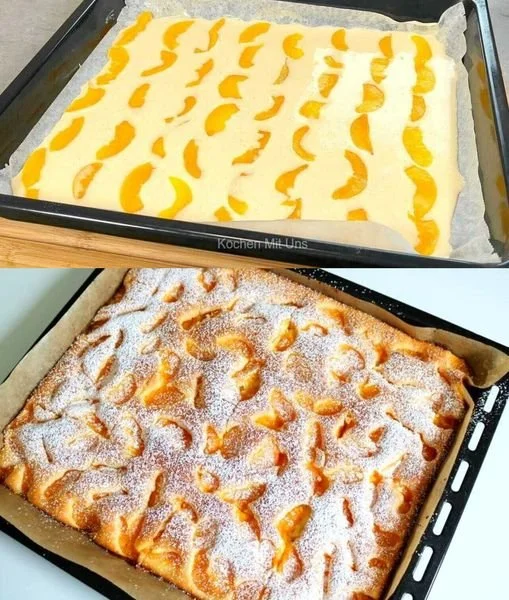 Saftiger Mandarinen Blechkuchen, perfekt gebacken und dekoriert.