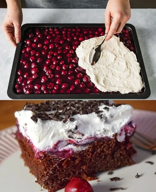 Schwarzwälder Puddingkuchen vom Blech, leckerer Puddingkuchen mit Schokoladenteig