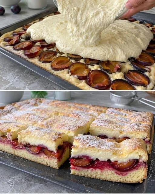 Zwetschgenkuchen mit Eierschecke auf einem Teller serviert.